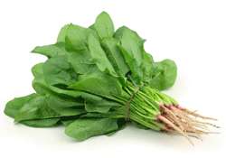 Fresh Spinach (500gm Bunch) - Palak